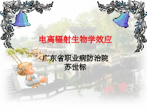 电离辐射的生物学效应ppt课件