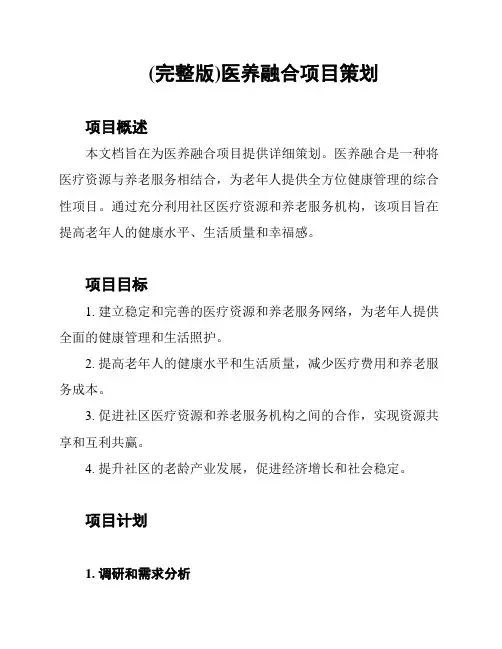 (完整版)医养融合项目策划