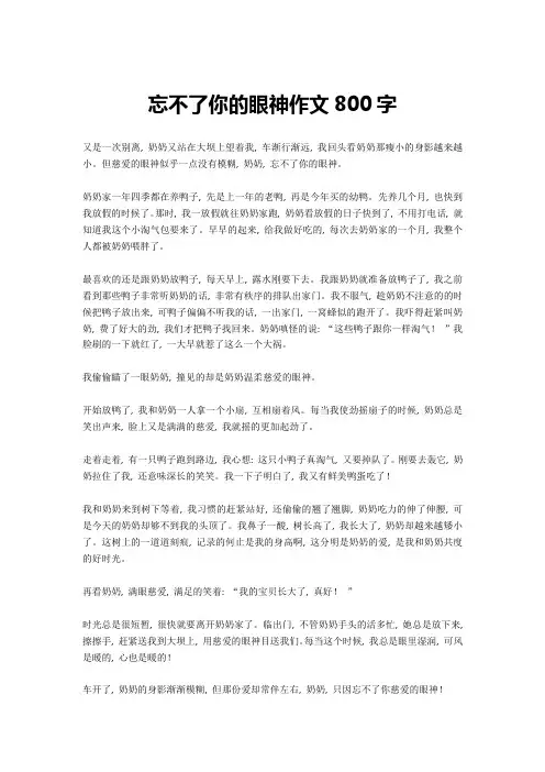 忘不了你的眼神作文800字