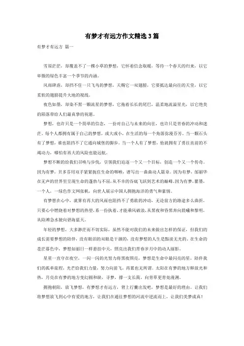 有梦才有远方作文精选3篇