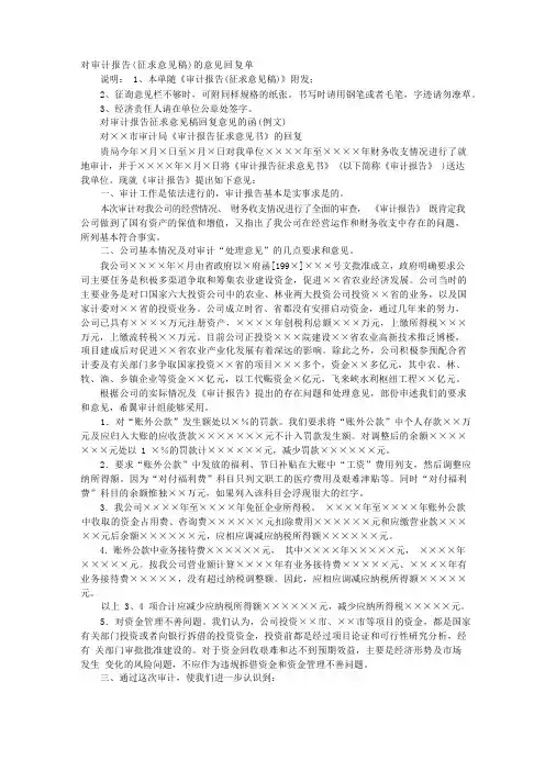 审计报告回复