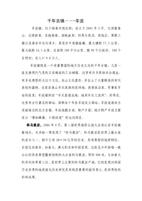 千年古镇山东省新泰市羊流镇