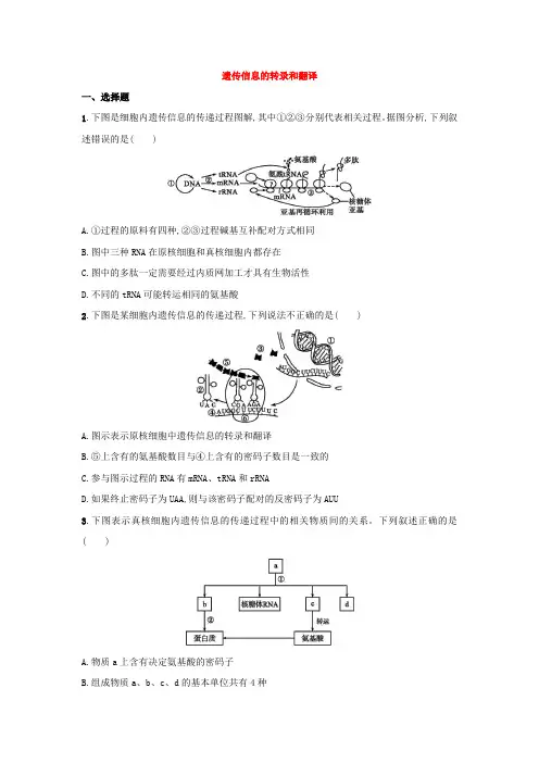 高三生物一轮复习课时规范练遗传信息的转录和翻译