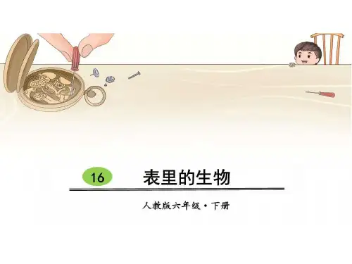 《表里的生物》PPT课件