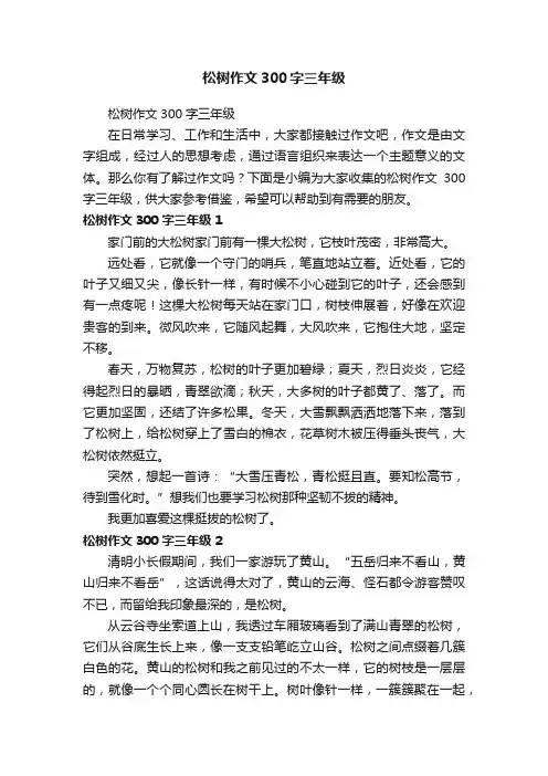 松树作文300字三年级