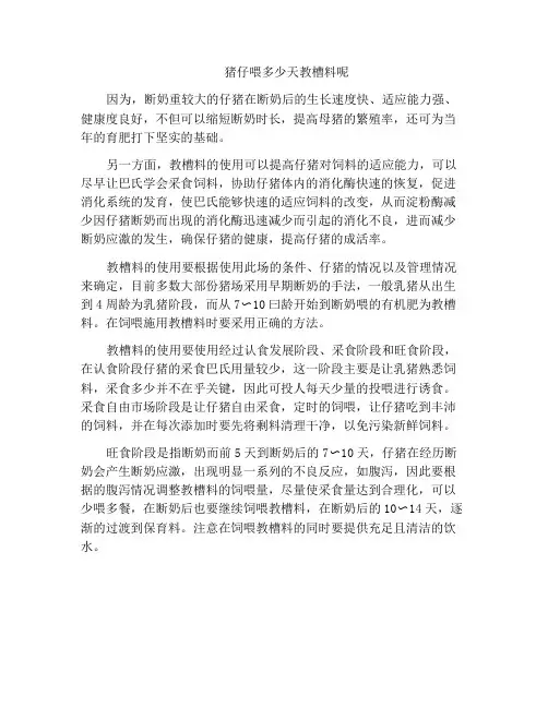 猪仔喂多少天教槽料呢