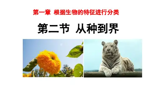 初二生物课件PPT- 从种到界