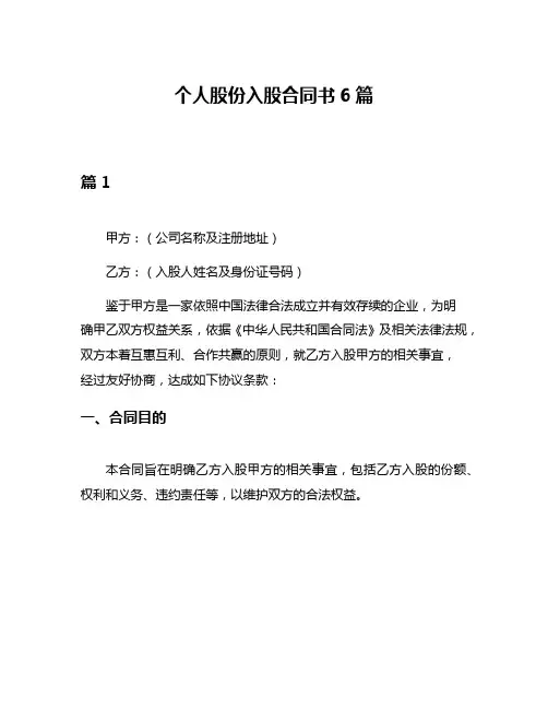 个人股份入股合同书6篇