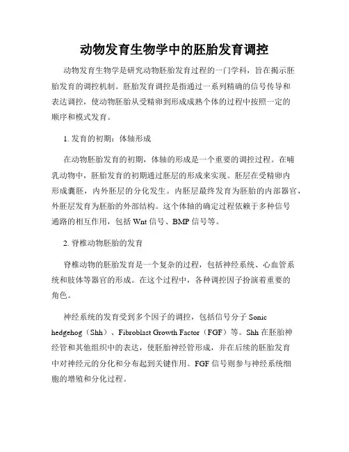 动物发育生物学中的胚胎发育调控