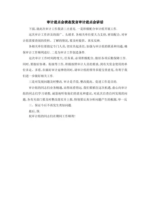 审计进点会表态发言 审计进点会讲话 精品