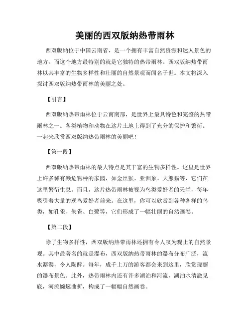 美丽的西双版纳热带雨林