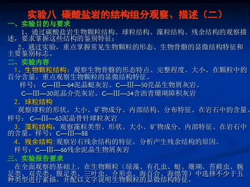 实验八 碳酸盐岩结构
