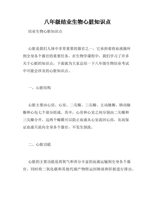 八年级结业生物心脏知识点