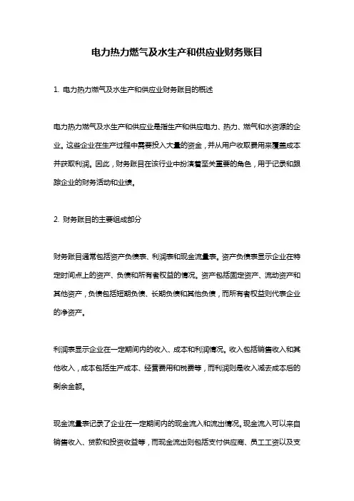 电力热力燃气及水生产和供应业财务账目