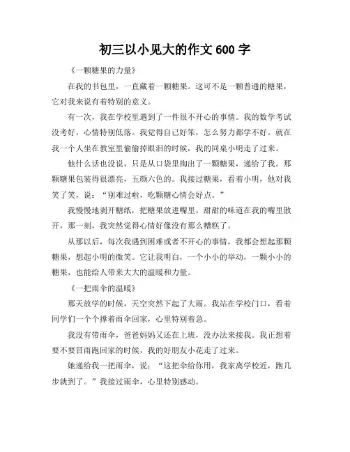 初三以小见大的作文600字