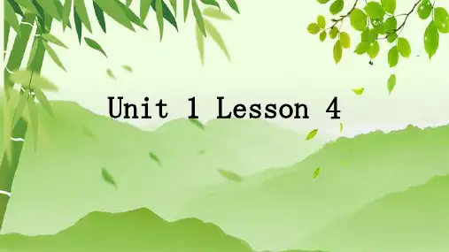2022-2023学年冀教版英语九年级全册 Unit 1 Lesson 4 课件