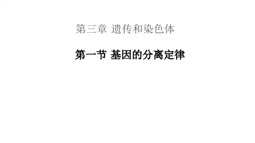 高中苏教版生物必修2第三章第一节 基因的分离定律(共25张PPT)