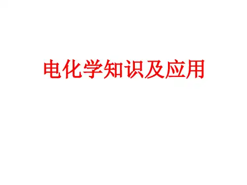2020届高三化学复习 电化学知识及应用 复习课 课件(共17张PPT)