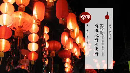 锦鲤PPT模板