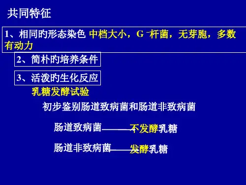 肠道感染细菌概述