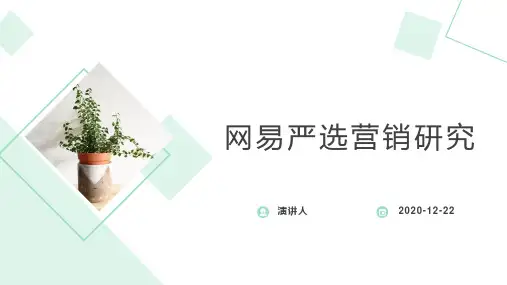网易严选营销分析