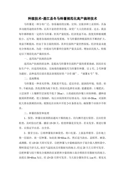种植技术-盈江县冬马铃薯规范化高产栽培技术