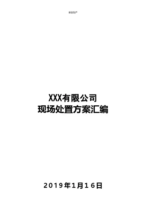 有限公司现场处置方案汇编企业安全生产规范化细则应急预案手册台账制度方案等
