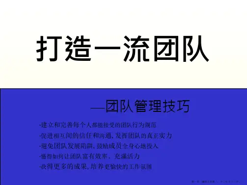 培训课件-打造一流团队