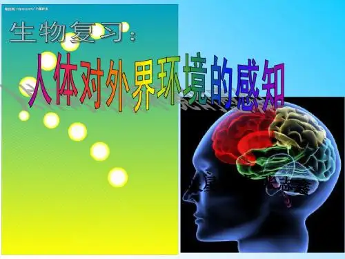 复习人体对外界环境的感知