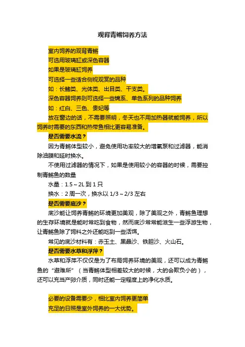 观背青鳉饲养方法