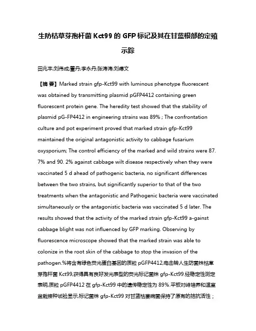 生防枯草芽孢杆菌Kct99的GFP标记及其在甘蓝根部的定殖示踪