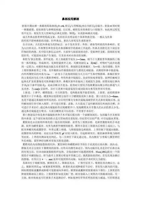 鼻部应用解剖