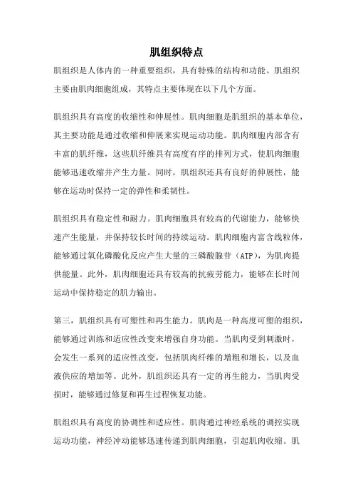 肌组织特点