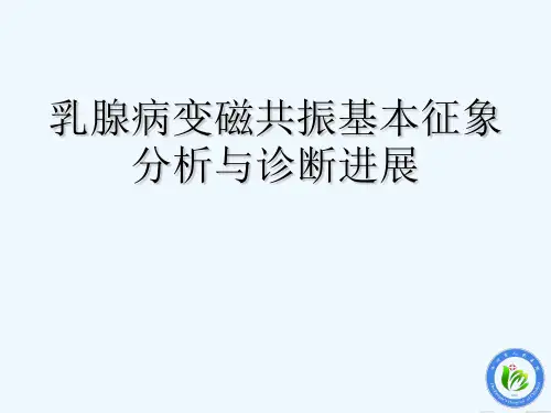 乳腺病变磁共振基本征象分析 PPT
