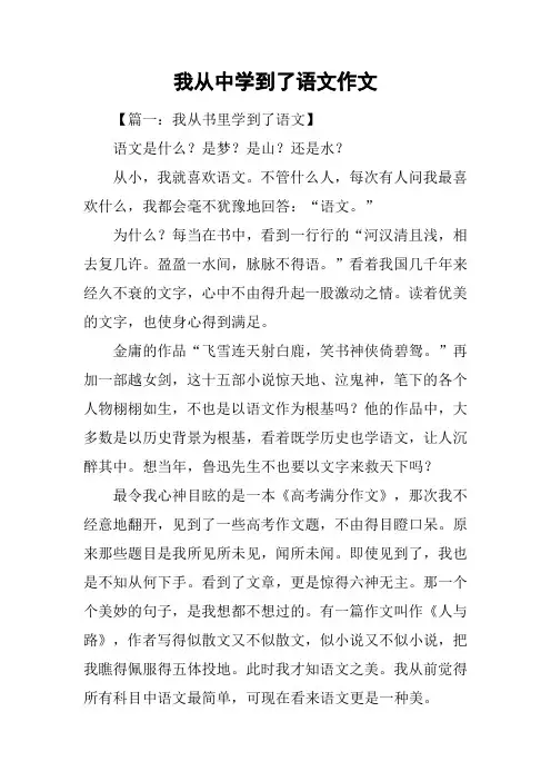 我从中学到了语文作文