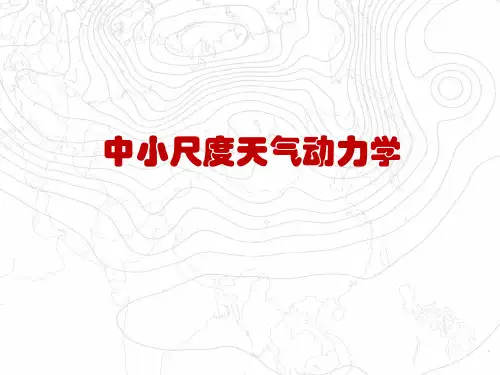 中尺度天气系统的特征