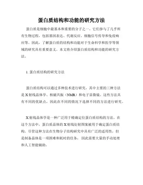 蛋白质结构和功能的研究方法