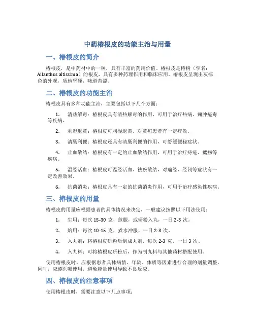 中药椿根皮的功能主治与用量