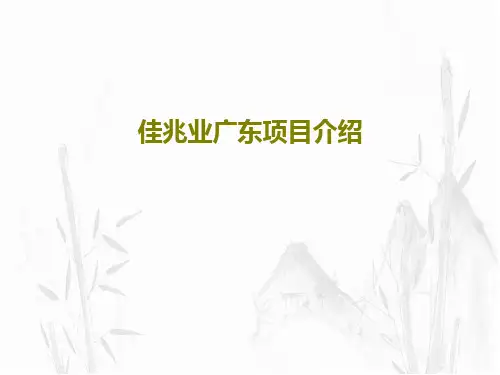 佳兆业广东项目介绍44页PPT