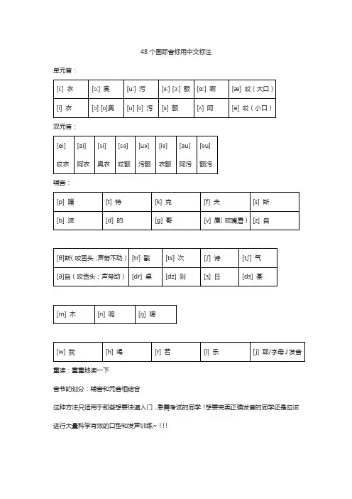 48个国际音标用中文标注