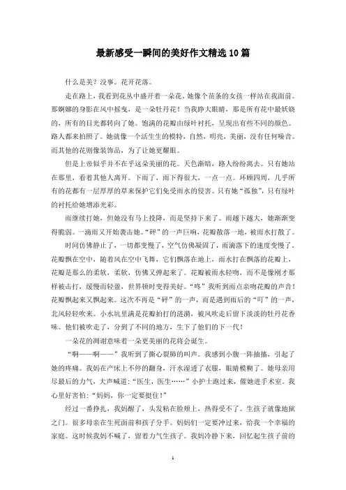 最新感受一瞬间的美好作文精选10篇