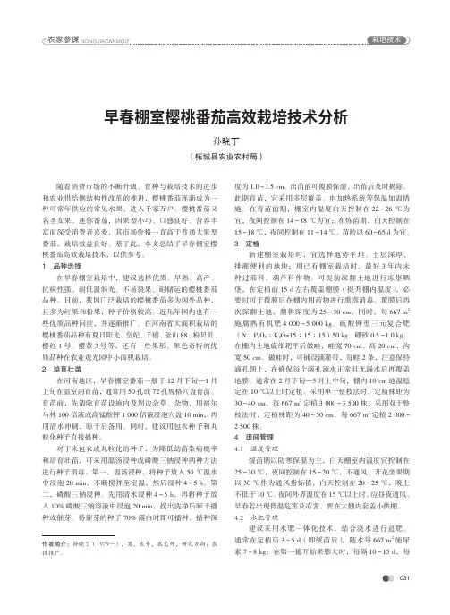 早春棚室樱桃番茄高效栽培技术分析