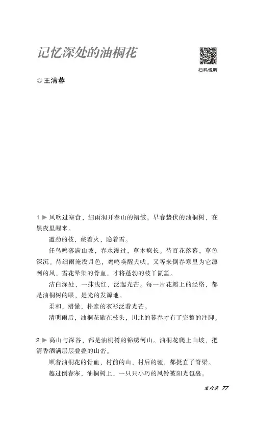 记忆深处的油桐花