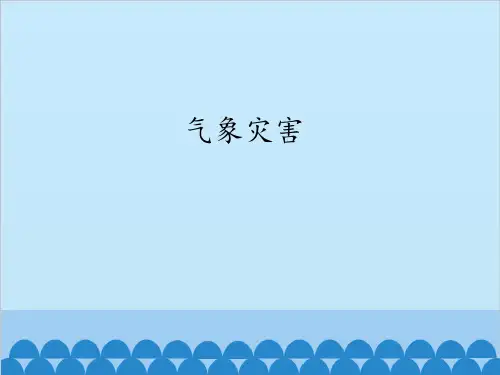 高中地理人教版(2019)必修第一册 第六章 第一节 气象灾害(共46张PPT)