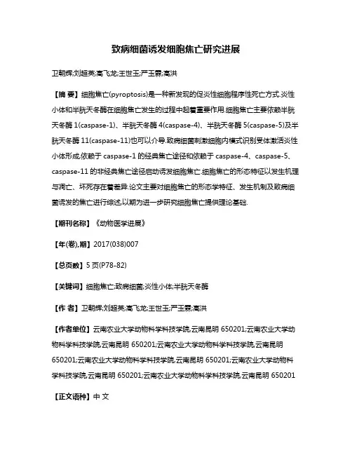 致病细菌诱发细胞焦亡研究进展