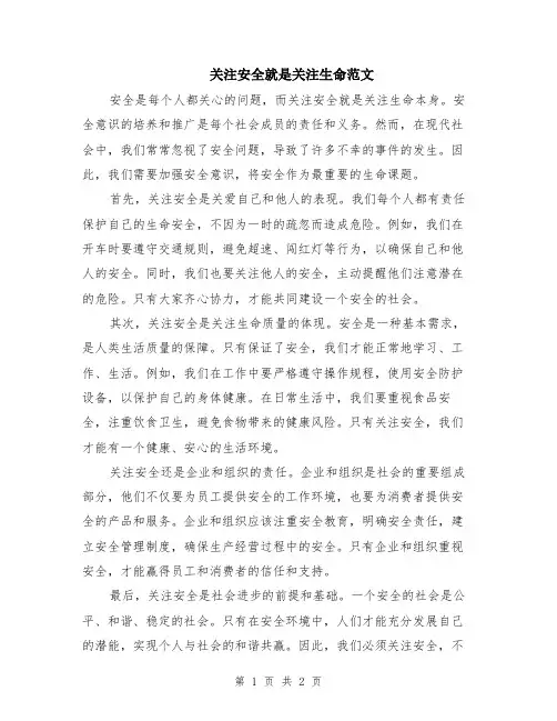 关注安全就是关注生命范文