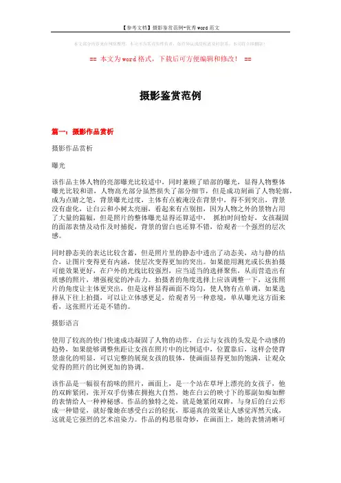 【参考文档】摄影鉴赏范例-优秀word范文 (11页)