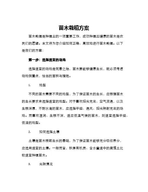 苗木栽植方案