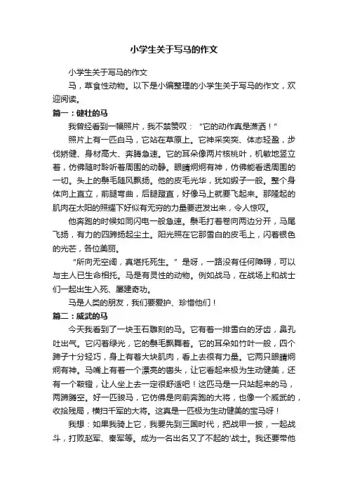 小学生关于写马的作文