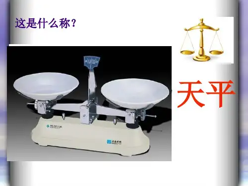 小学二年级趣味数学天平的问题